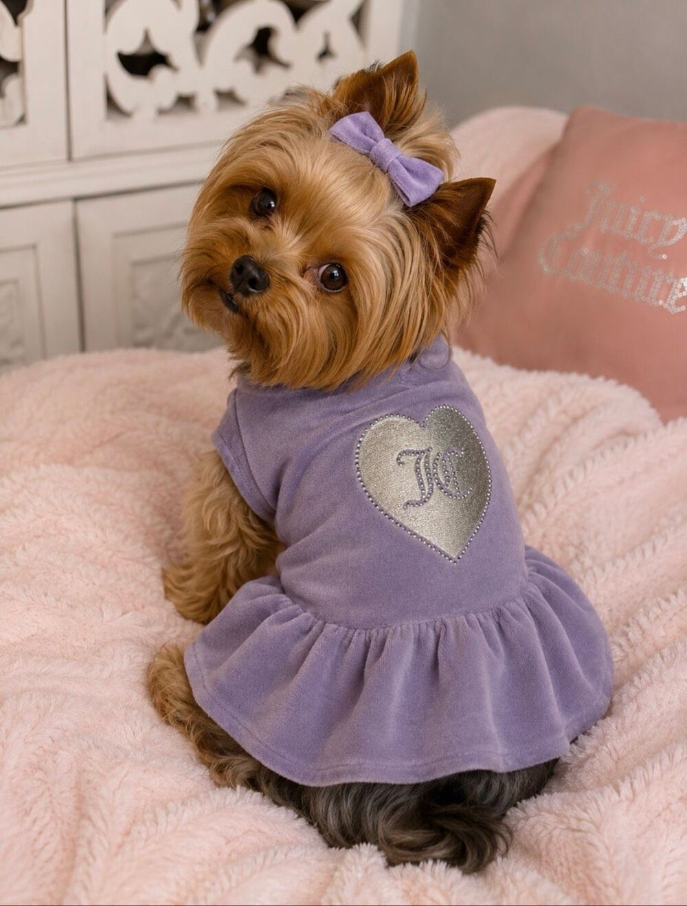 Juicy couture M/L terry velour bling  dog/cat pet clothes hoodie nwt rhinestone